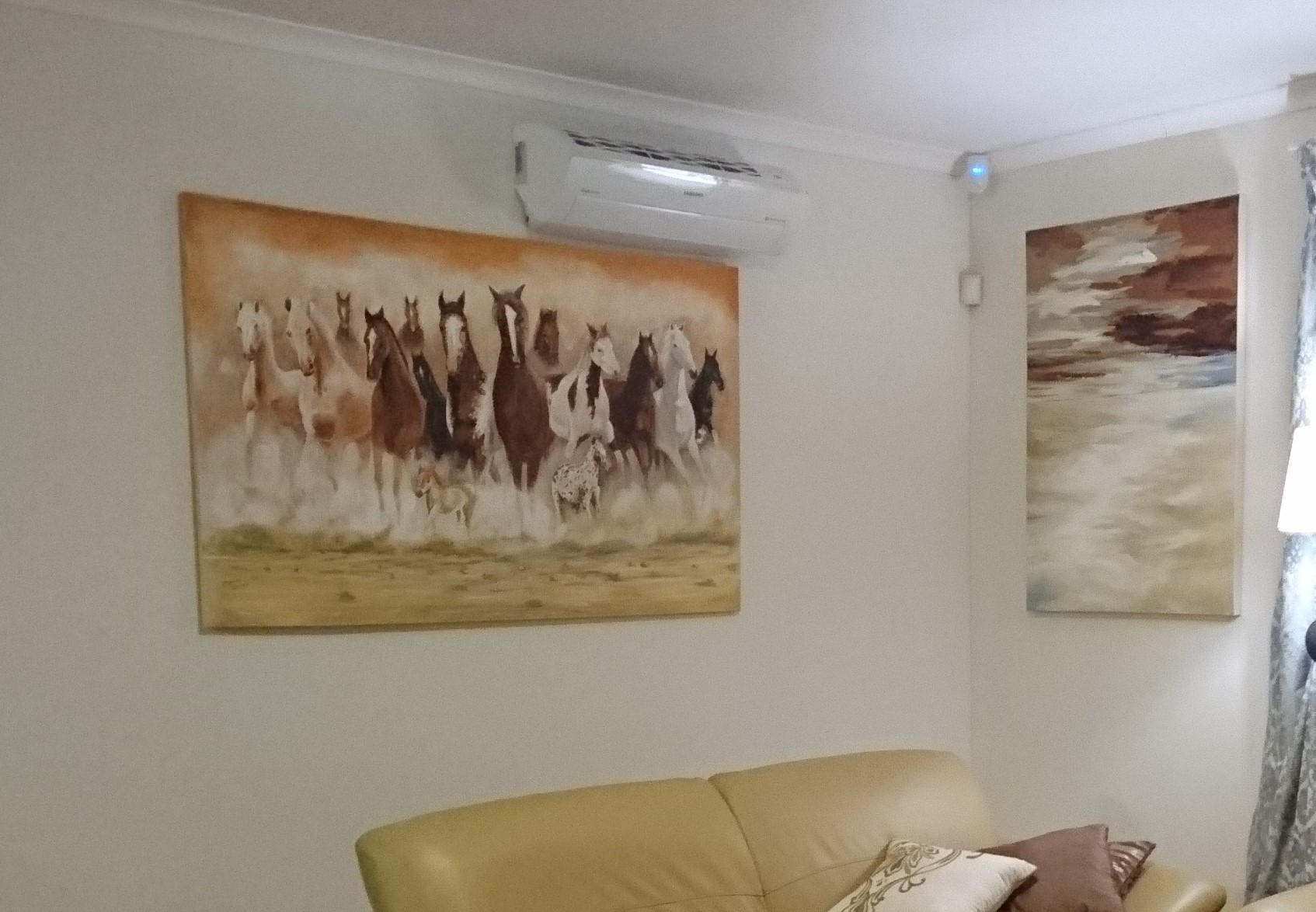 horses